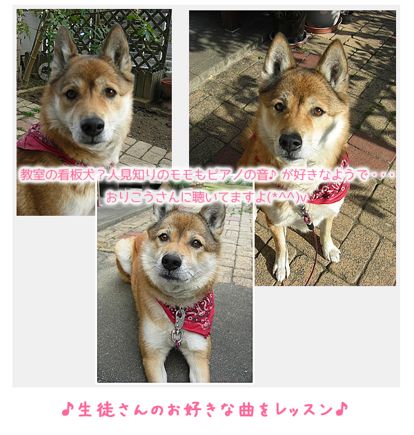 教室の様子写真